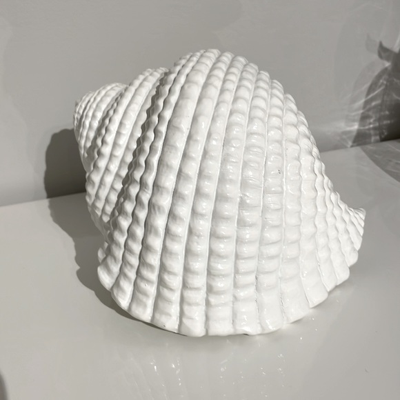 EUC Torre & Tagus Large White Resin Conch Shell Decor Accent - Picture 8 of 11